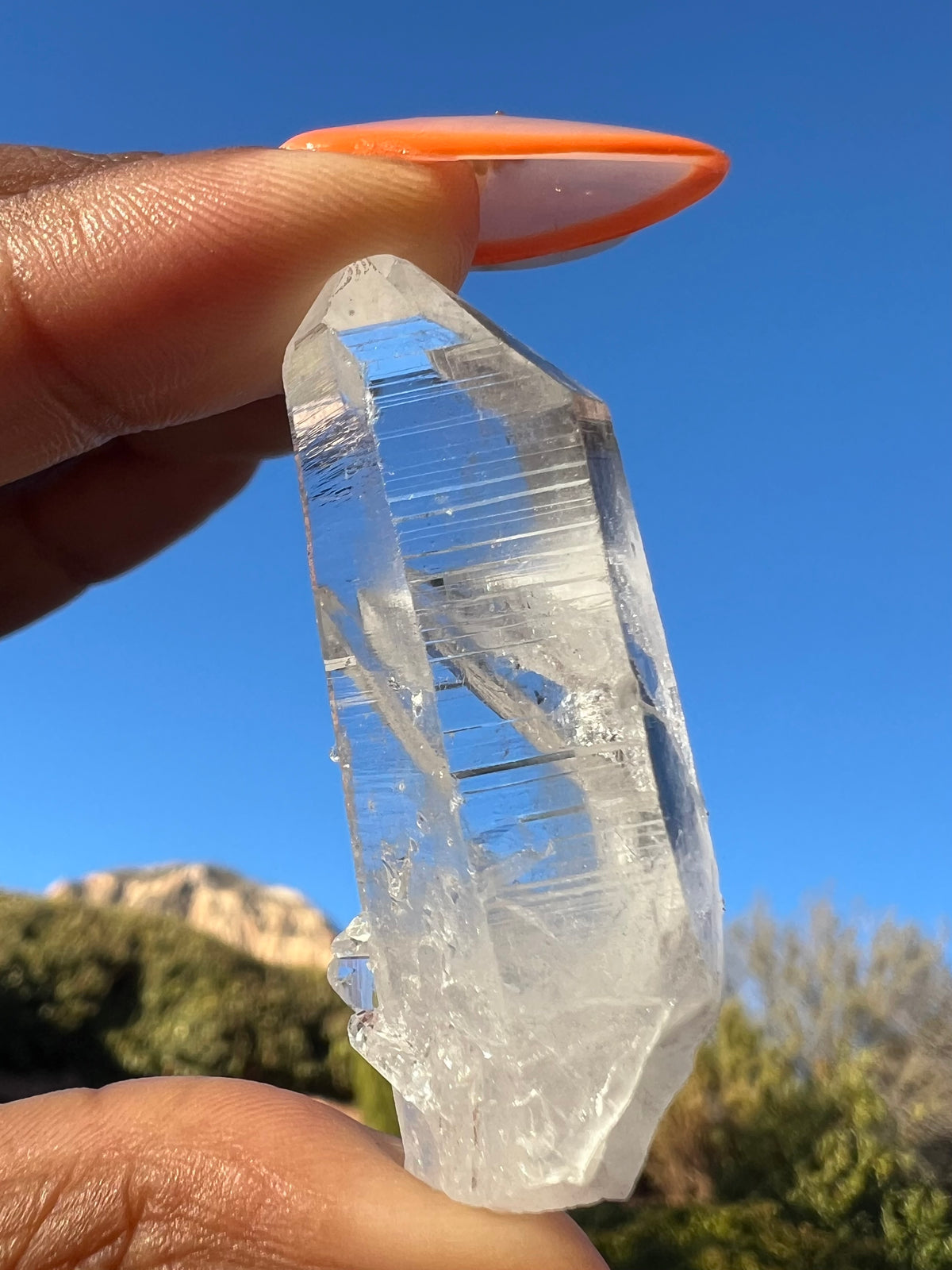 RARE: Lemurian Quartz Points (Choose Your Style!)