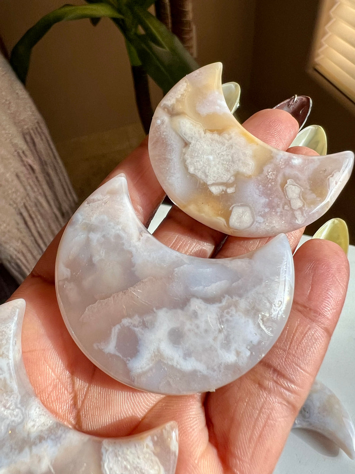 Flower Agate Moons