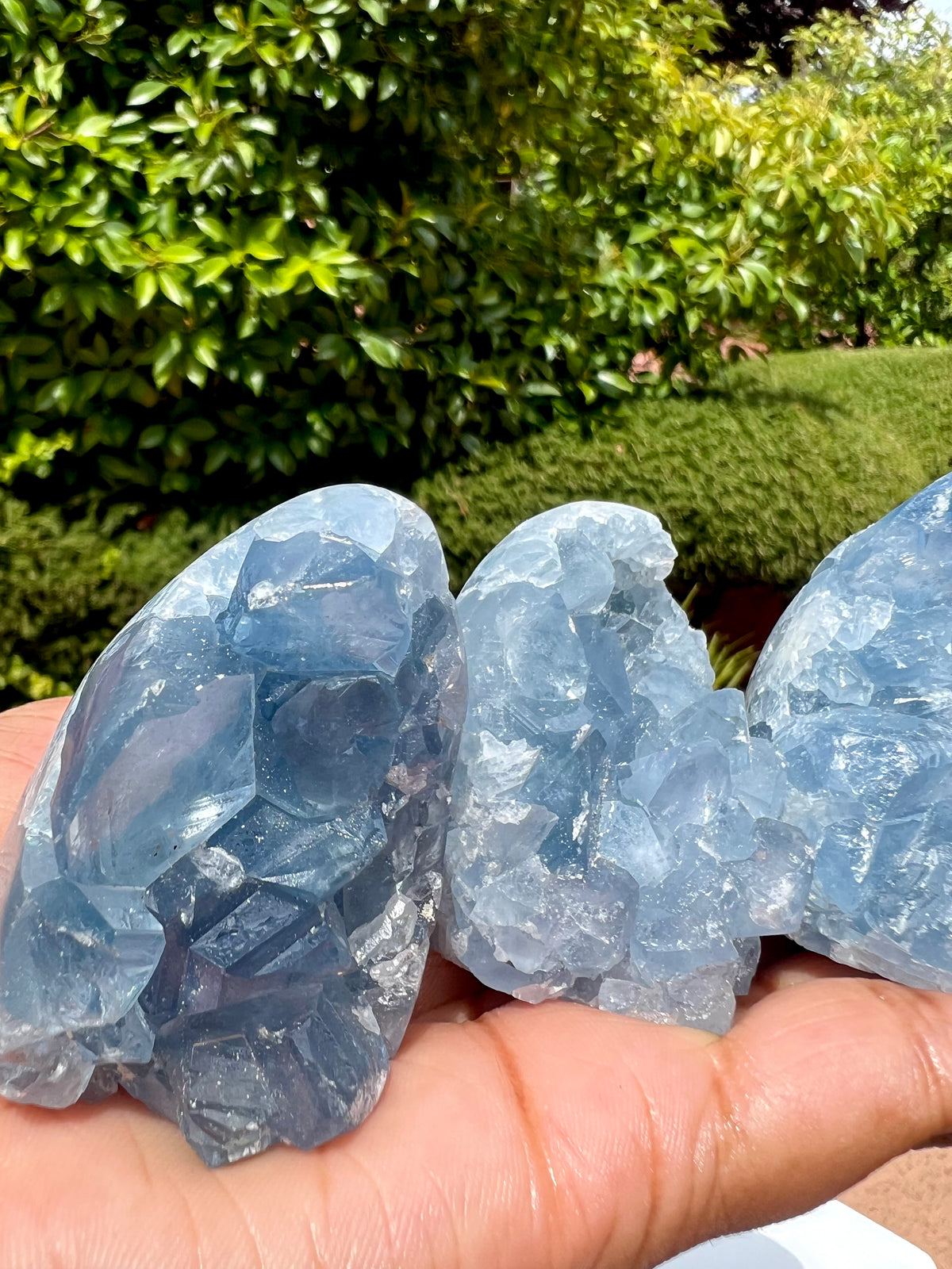 Mini Celestite Freeforms (Choose your fav!)