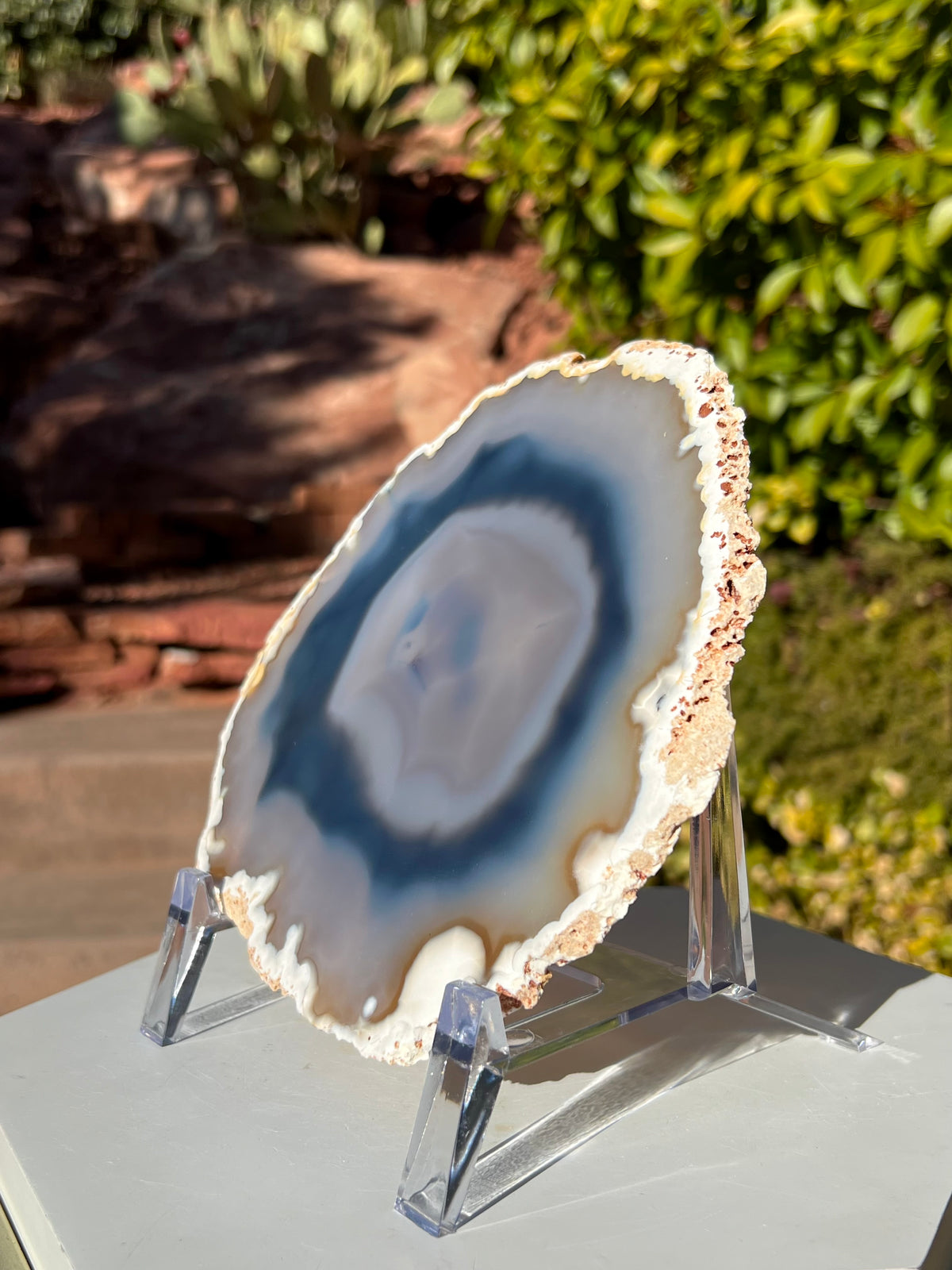 Large Agate Slice- C