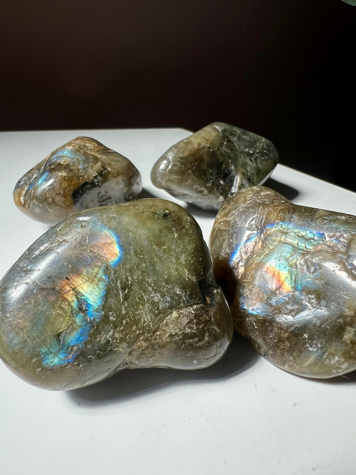 Labradorite Duo ⚡️