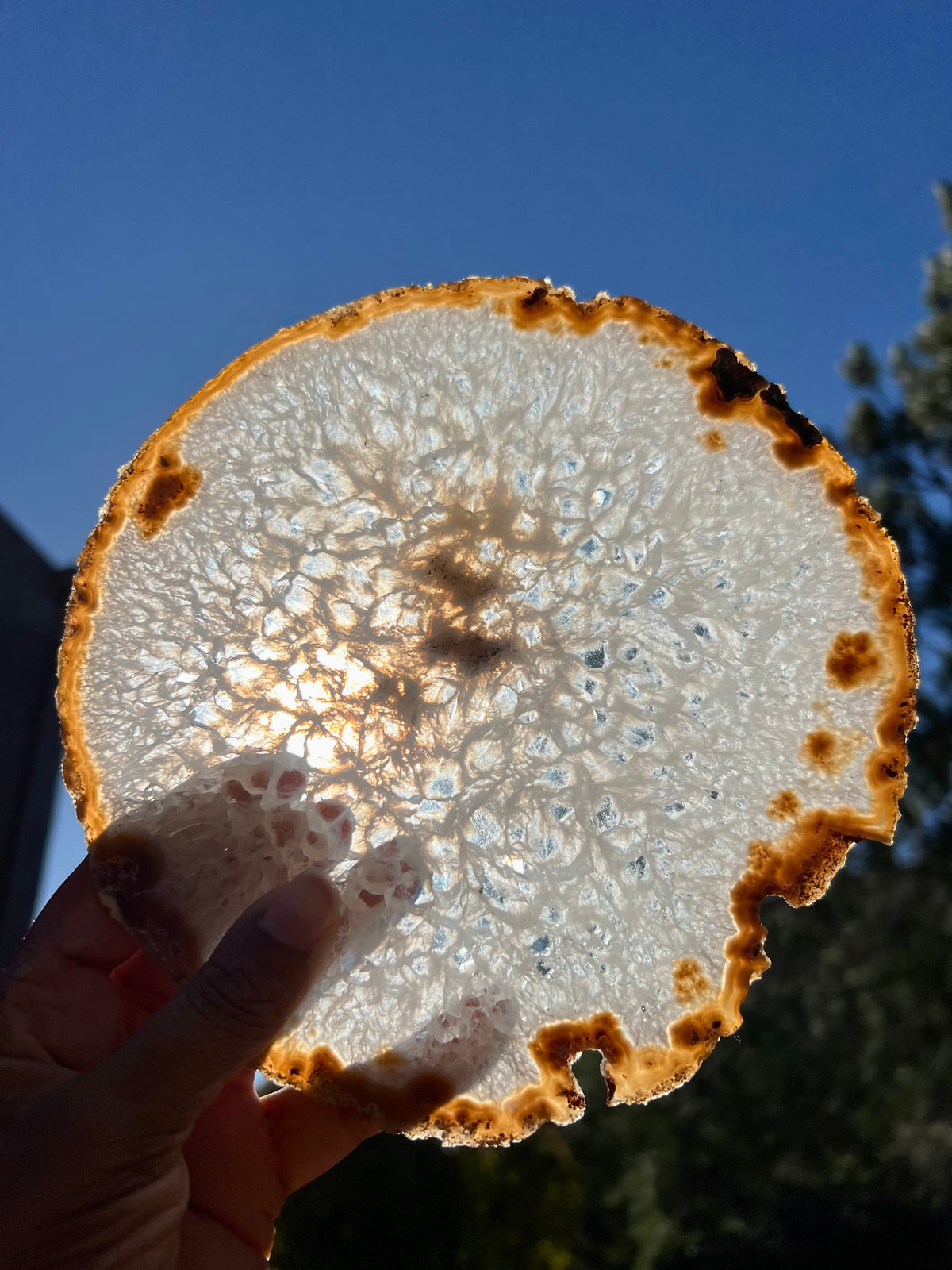 Large Agate Slice- A