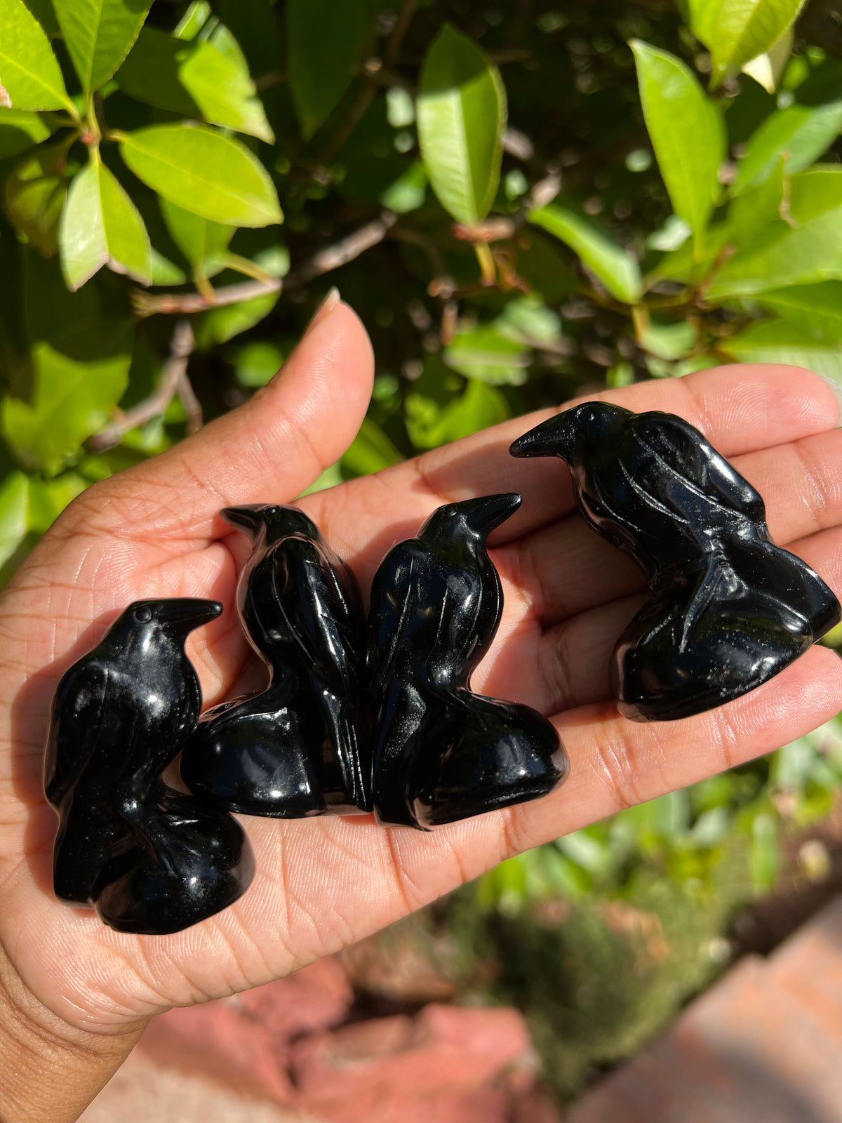 Obsidian Ravens