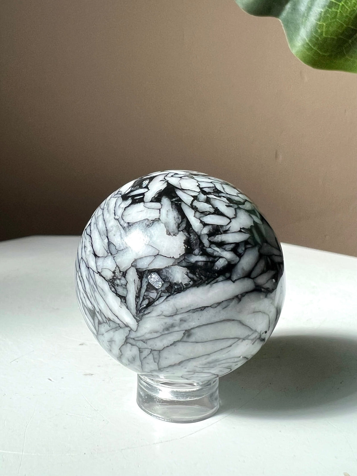 RARE: Pinolith (Pinolite) Sphere