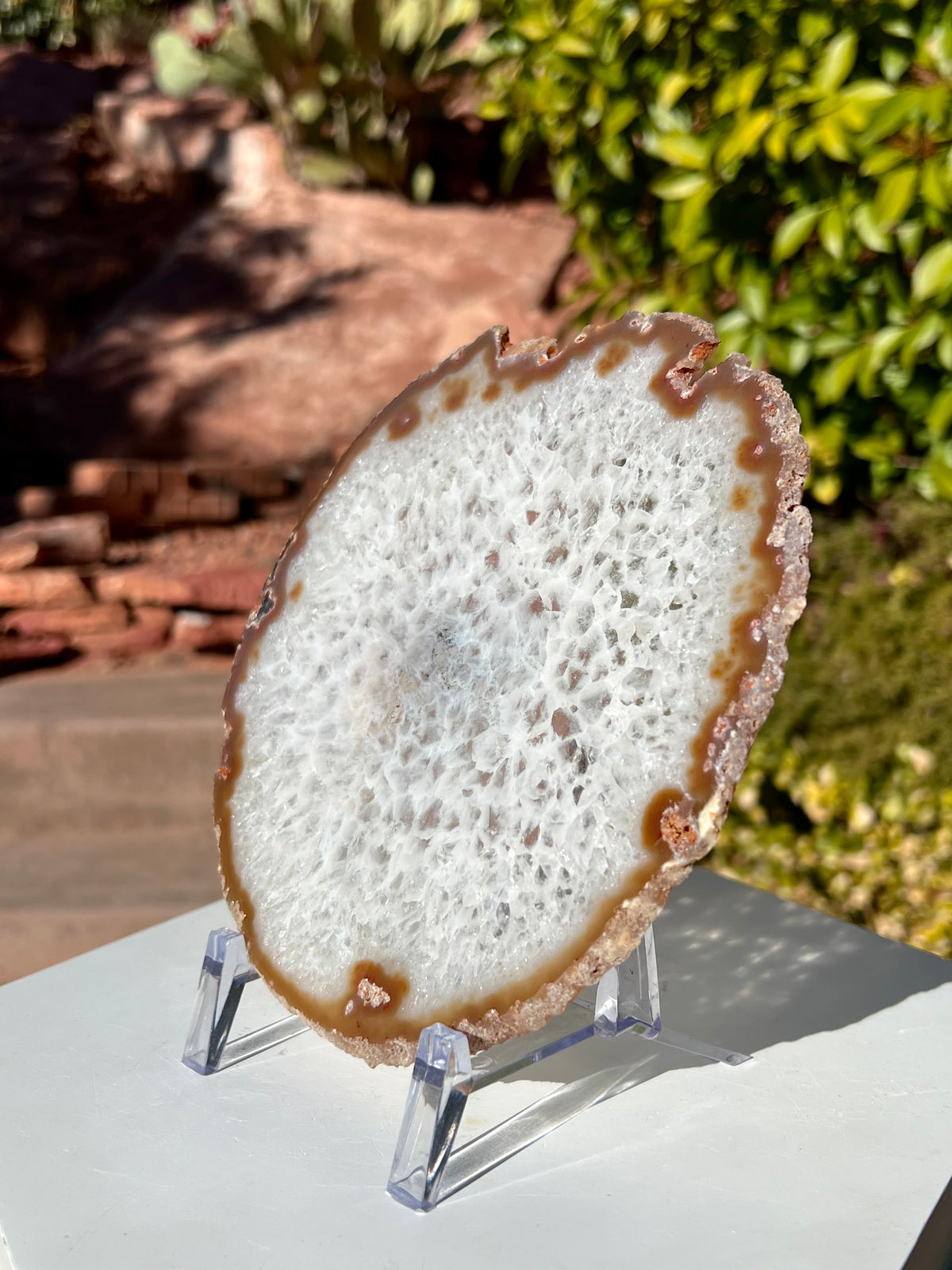 Large Agate Slice- A