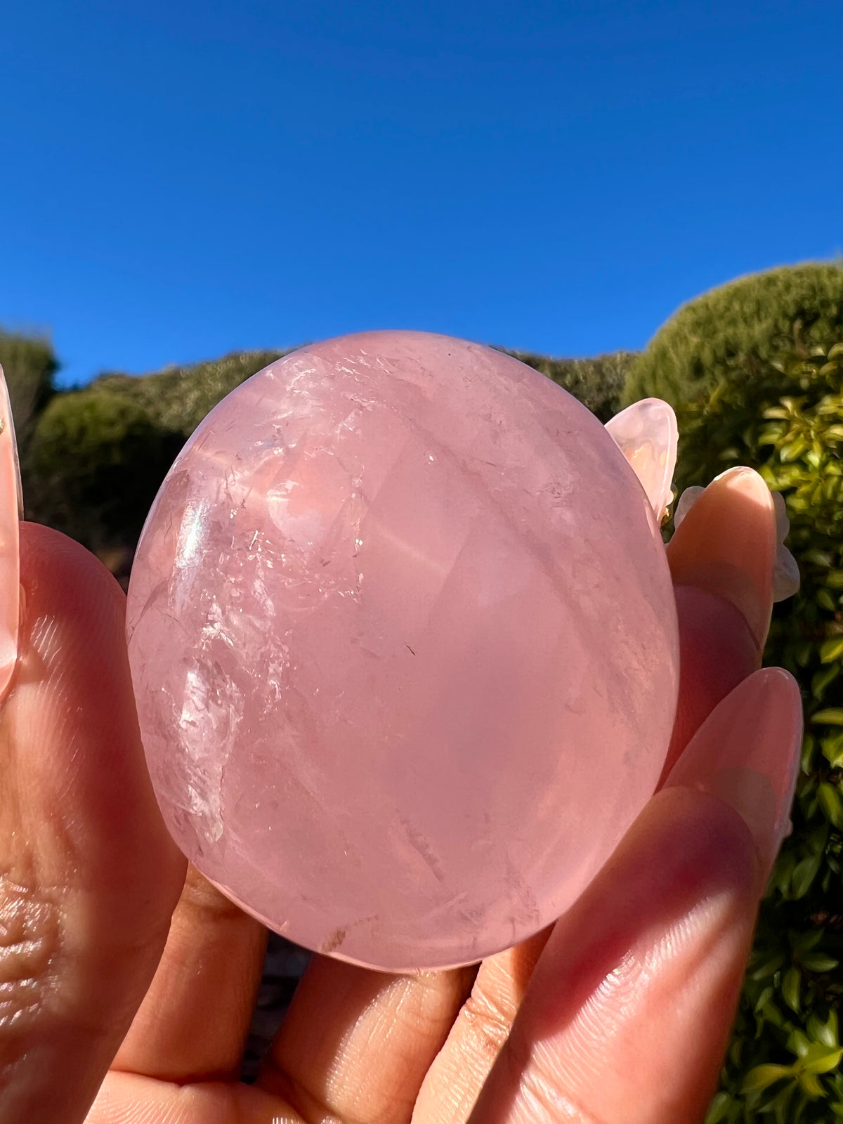 Rose Quartz Pebbles- Medium