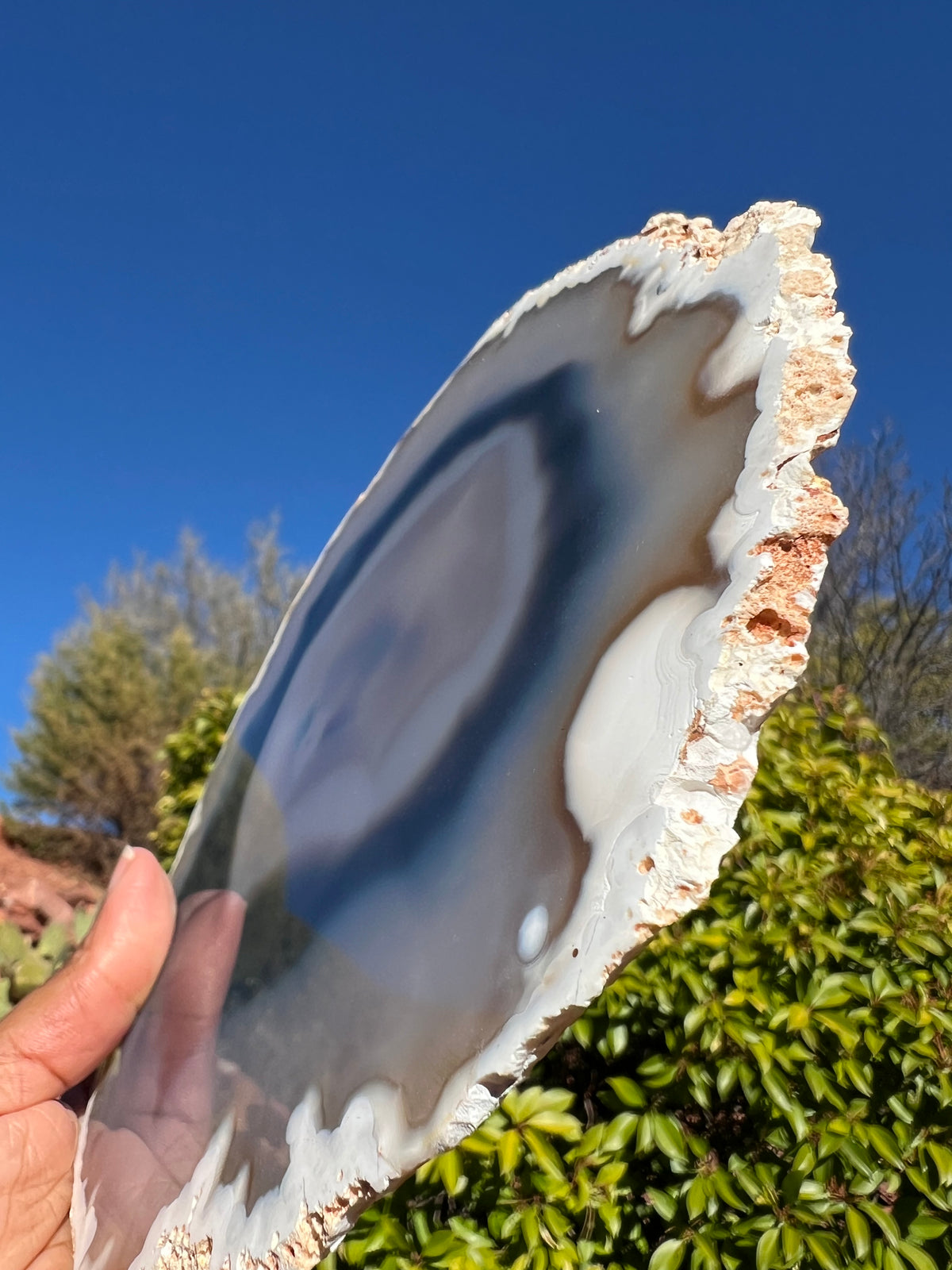 Large Agate Slice- C