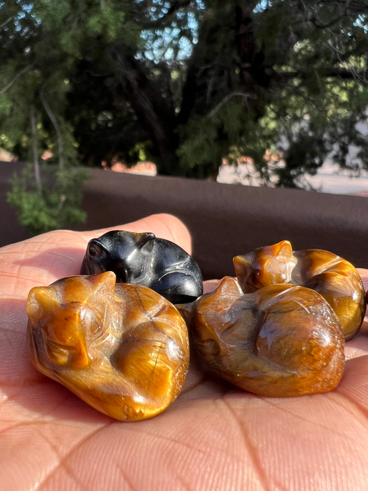 Mini Sleeping Cats- Tiger’s Eye + Obsidian