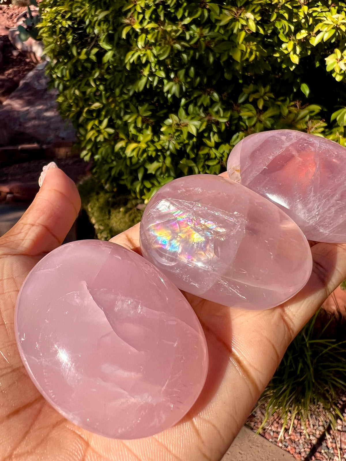 Rose Quartz Pebbles- Medium