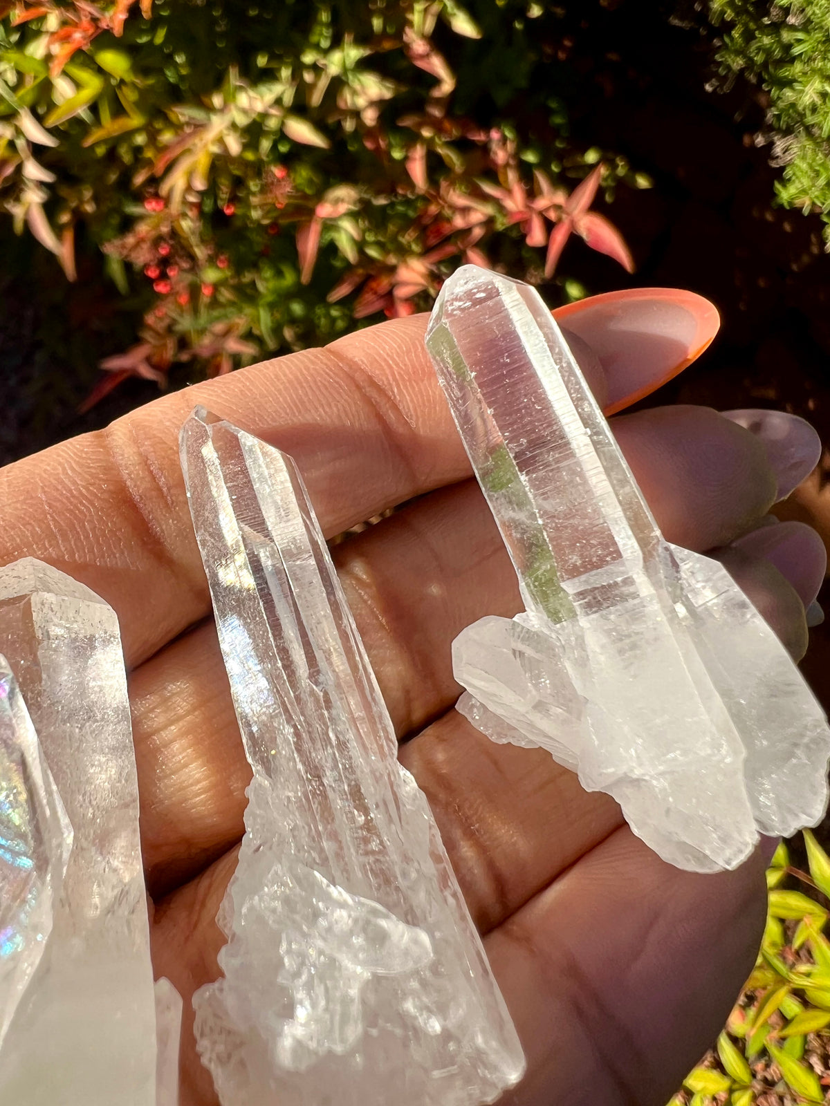 RARE: Lemurian Quartz Points (Choose Your Style!)