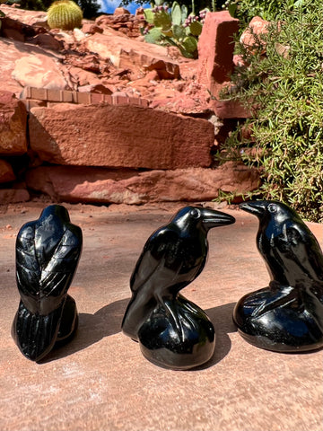 Obsidian Ravens