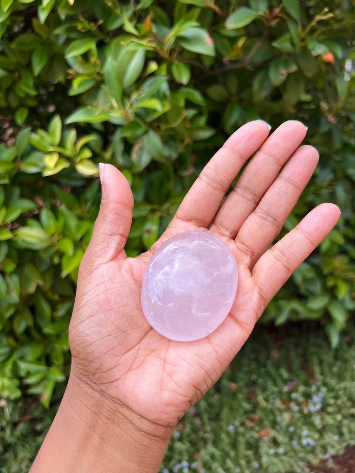 Palm Stone Chakra Set + Bonus Rose Quartz