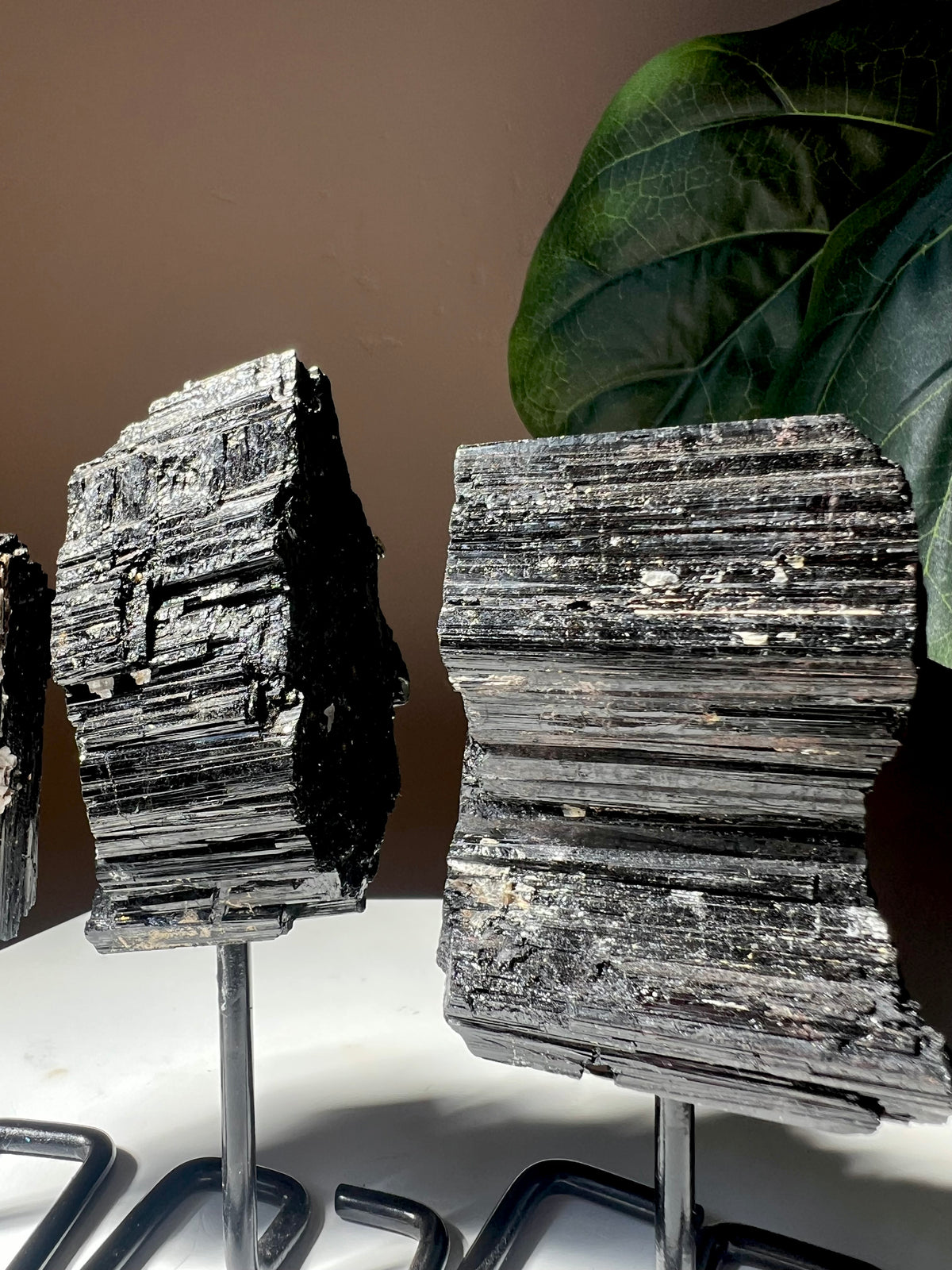 Black Tourmaline on Stand (Choose Your Fav!)