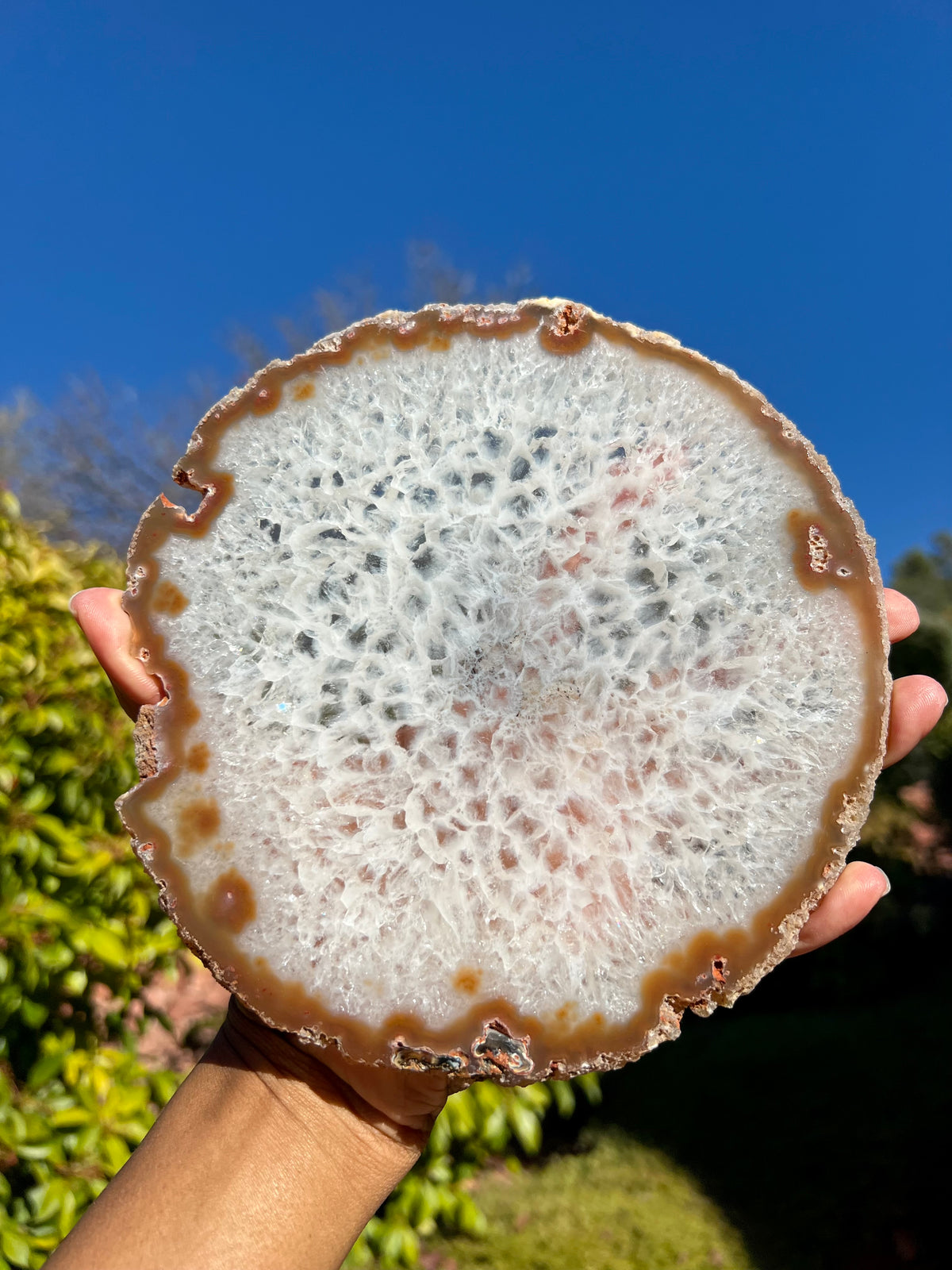 Large Agate Slice- A