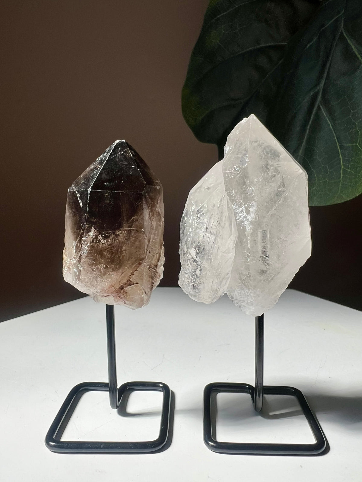 Smoky Quartz + Clear Quartz Mini Duo