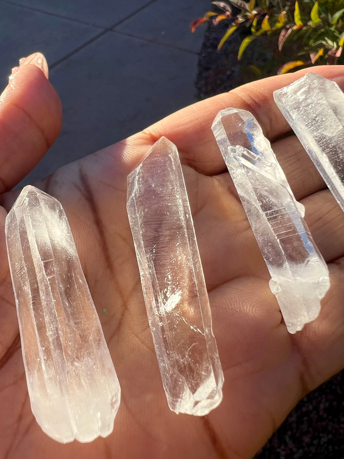 RARE: Lemurian Quartz Points (Choose Your Style!)