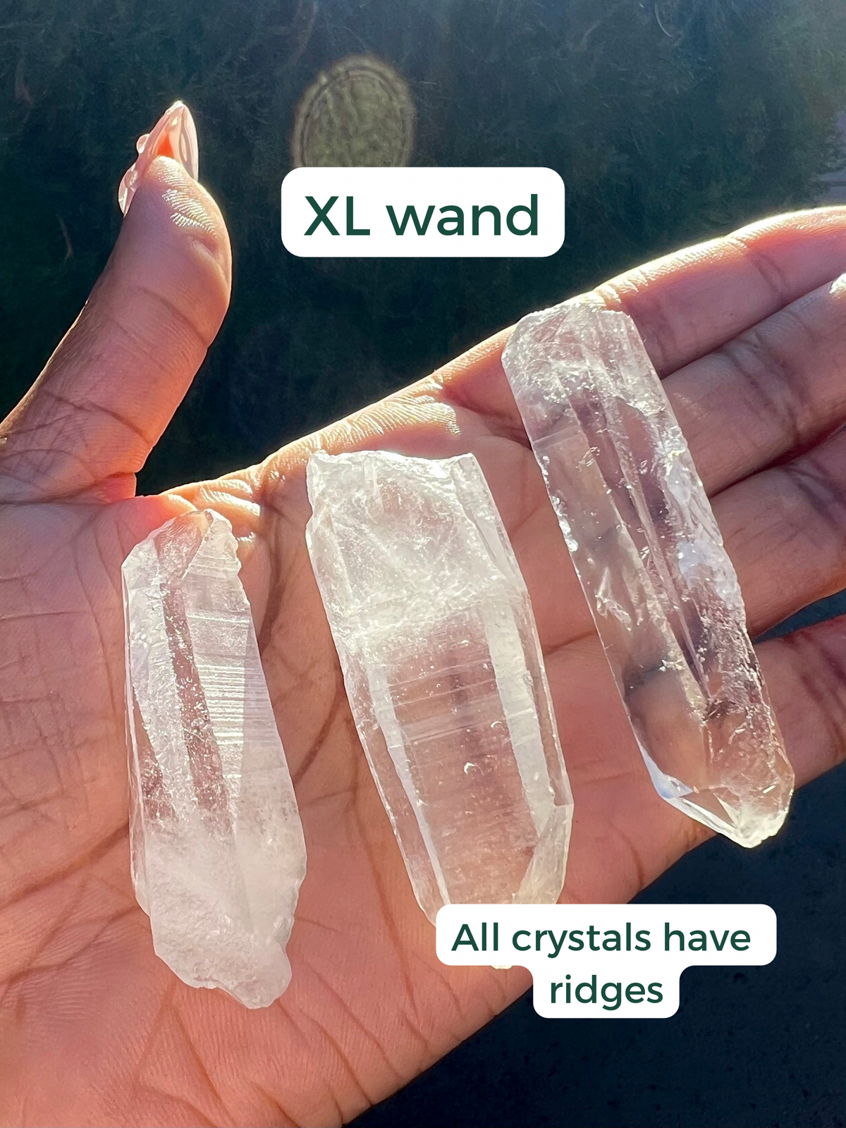 RARE: Lemurian Quartz Points (Choose Your Style!)