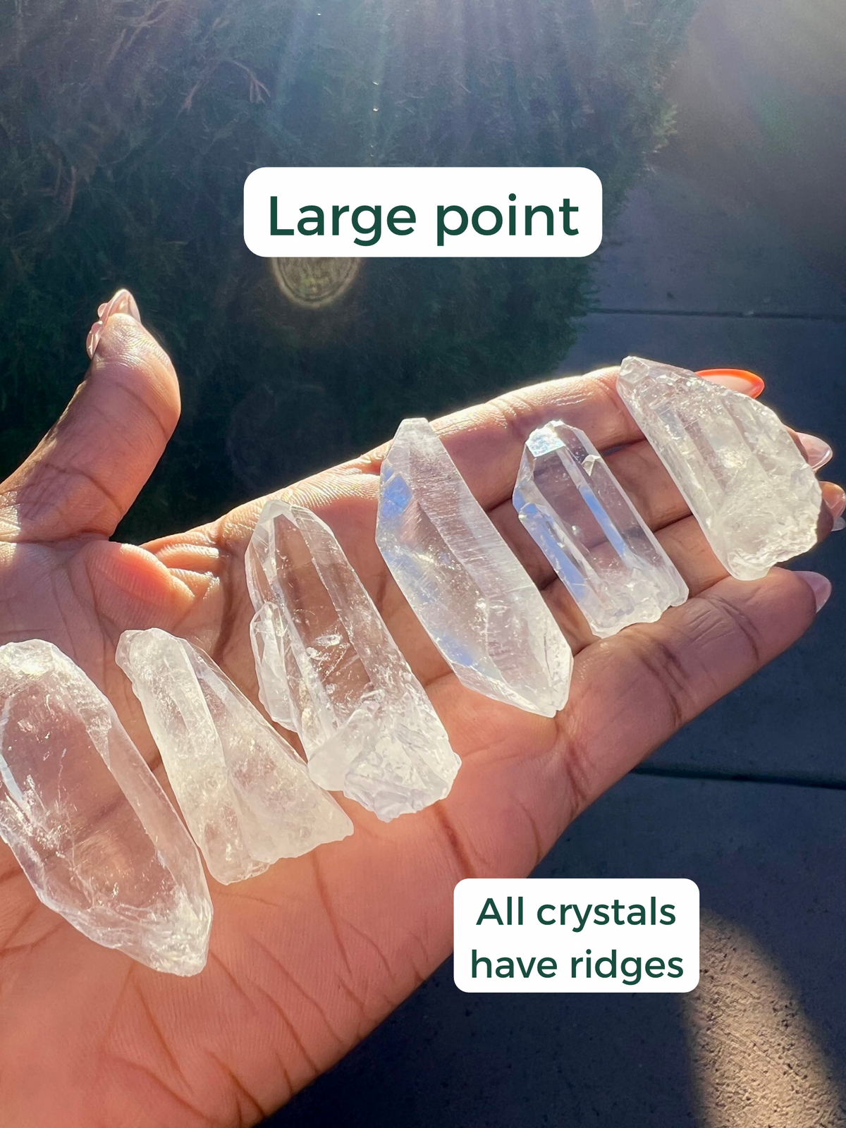 RARE: Lemurian Quartz Points (Choose Your Style!)