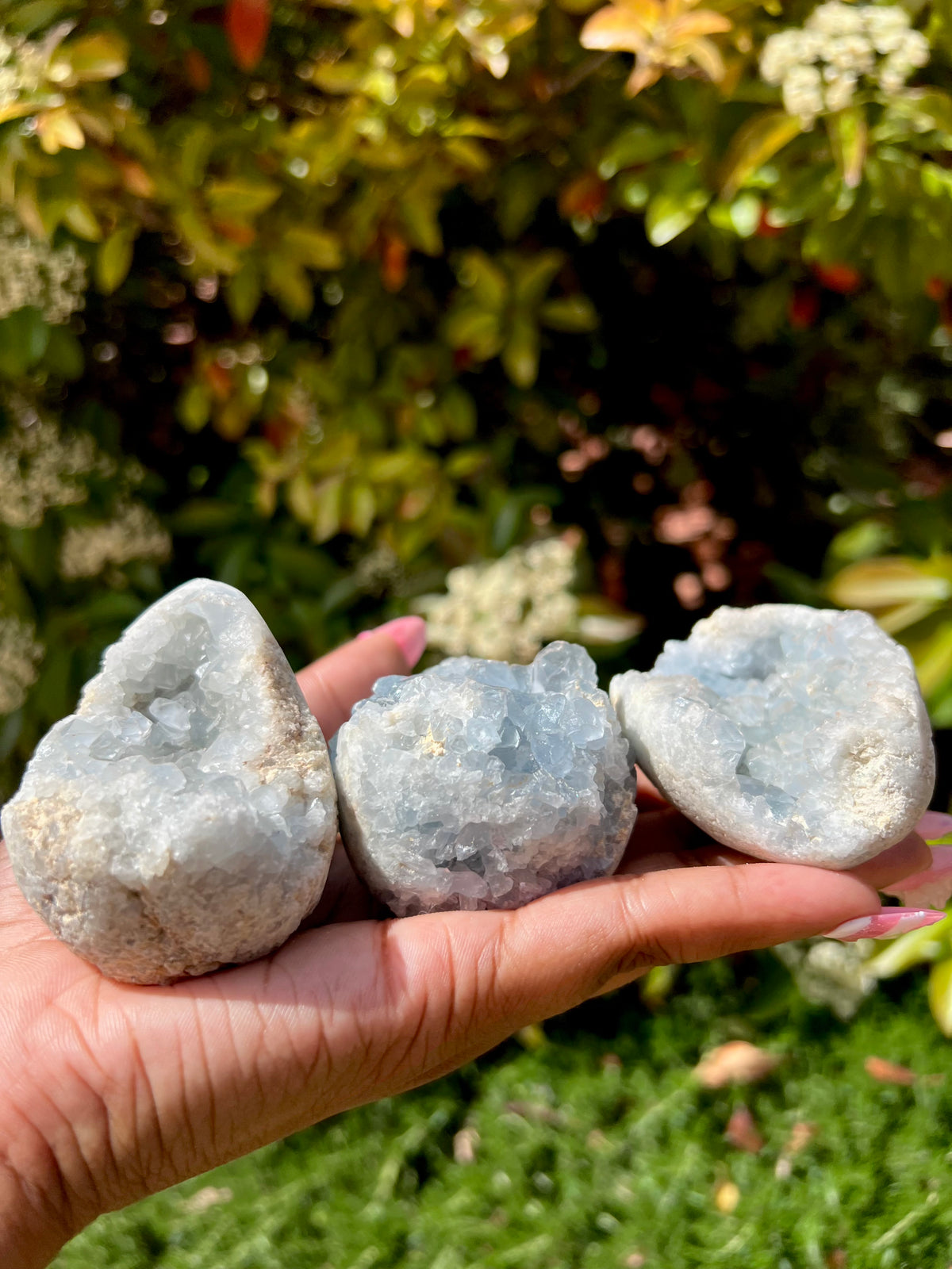 Celestite Clusters (Perfectly Imperfect 💎)