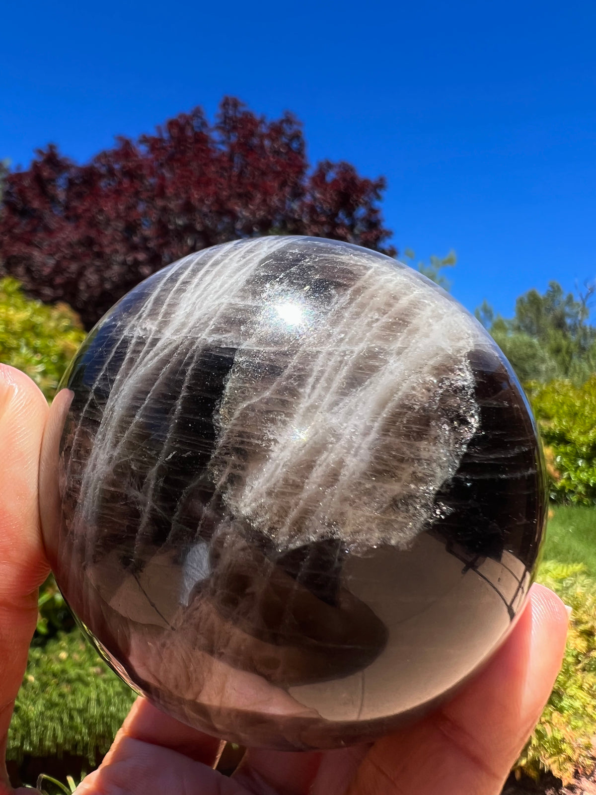 Black Moonstone Spheres- Large