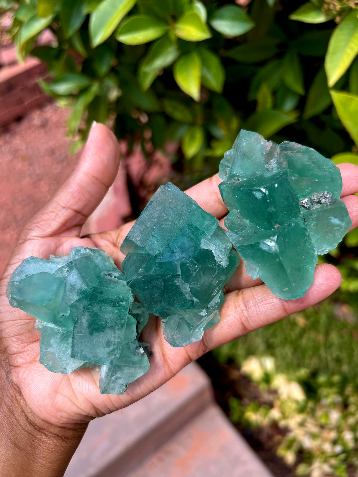Green Fluorite Clusters (Choose your fav!)