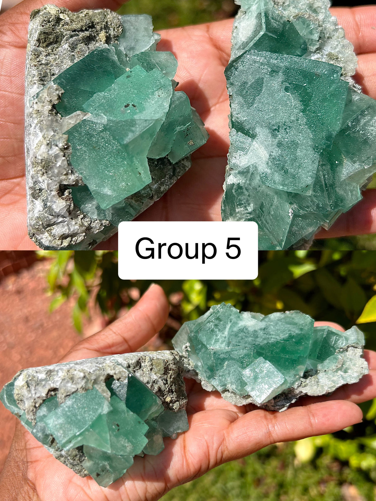 Green Fluorite Clusters (Choose your fav!)