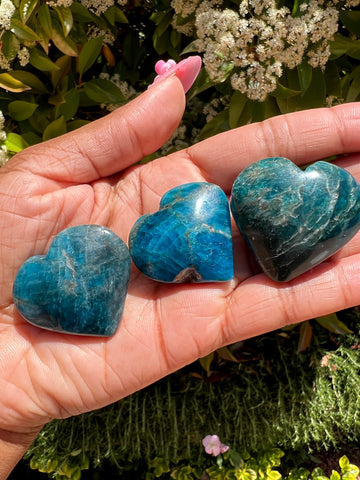 Small Blue Apatite Hearts- (Perfectly Imperfect) 💎