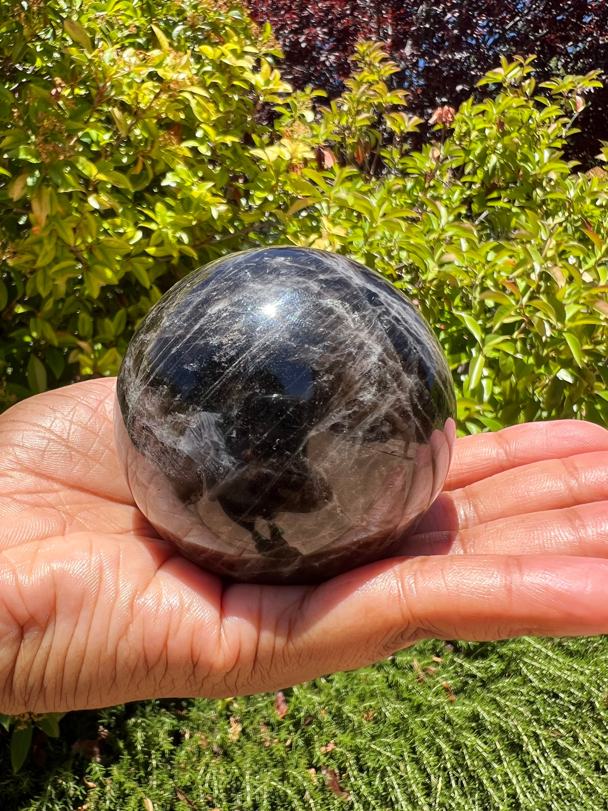 Black Moonstone Spheres- Large