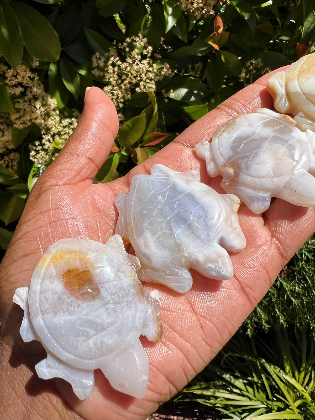 Flower Agate Turtles 🌸- Choose your style!
