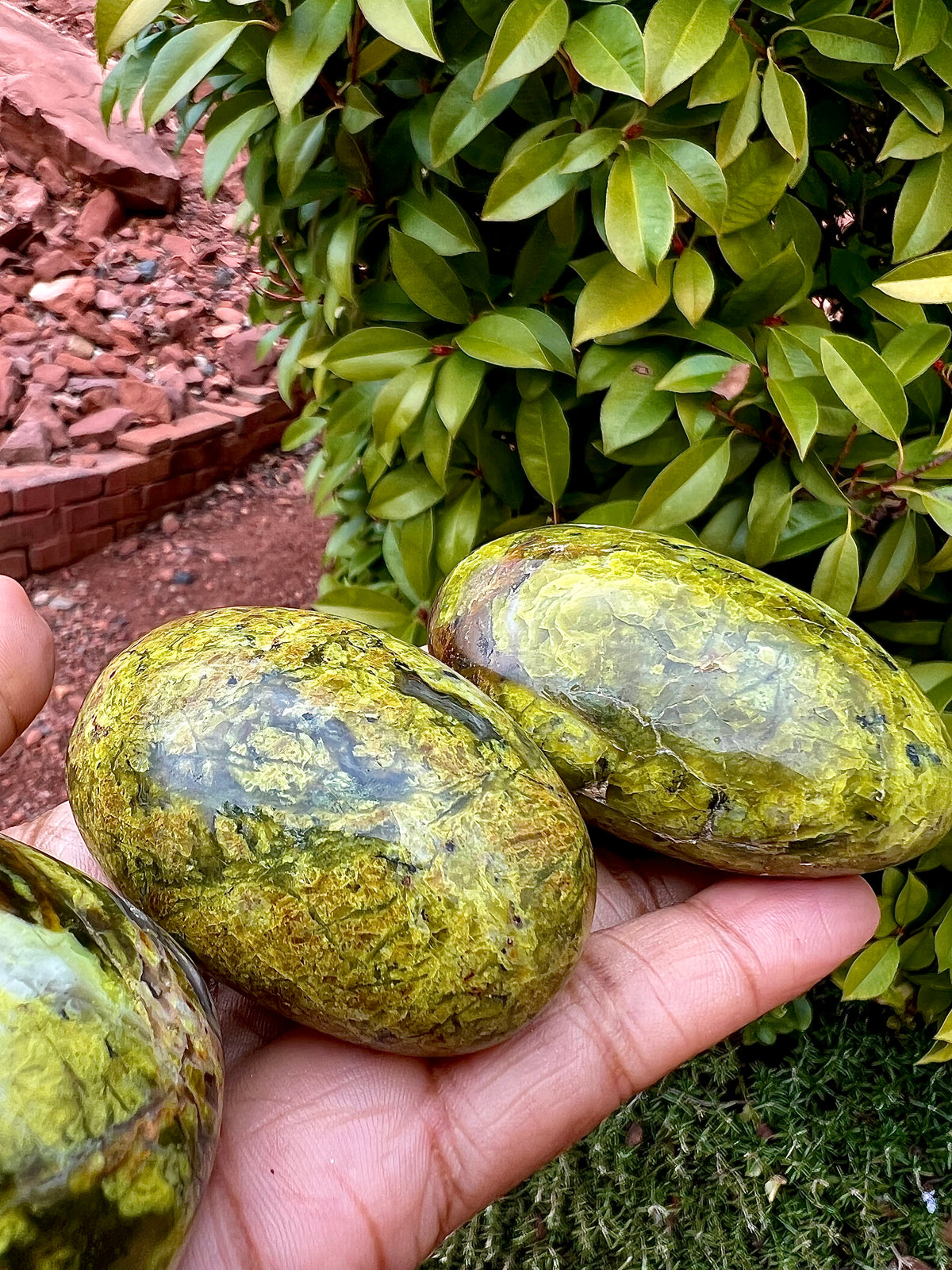 Pistachio Opal Palm Stones