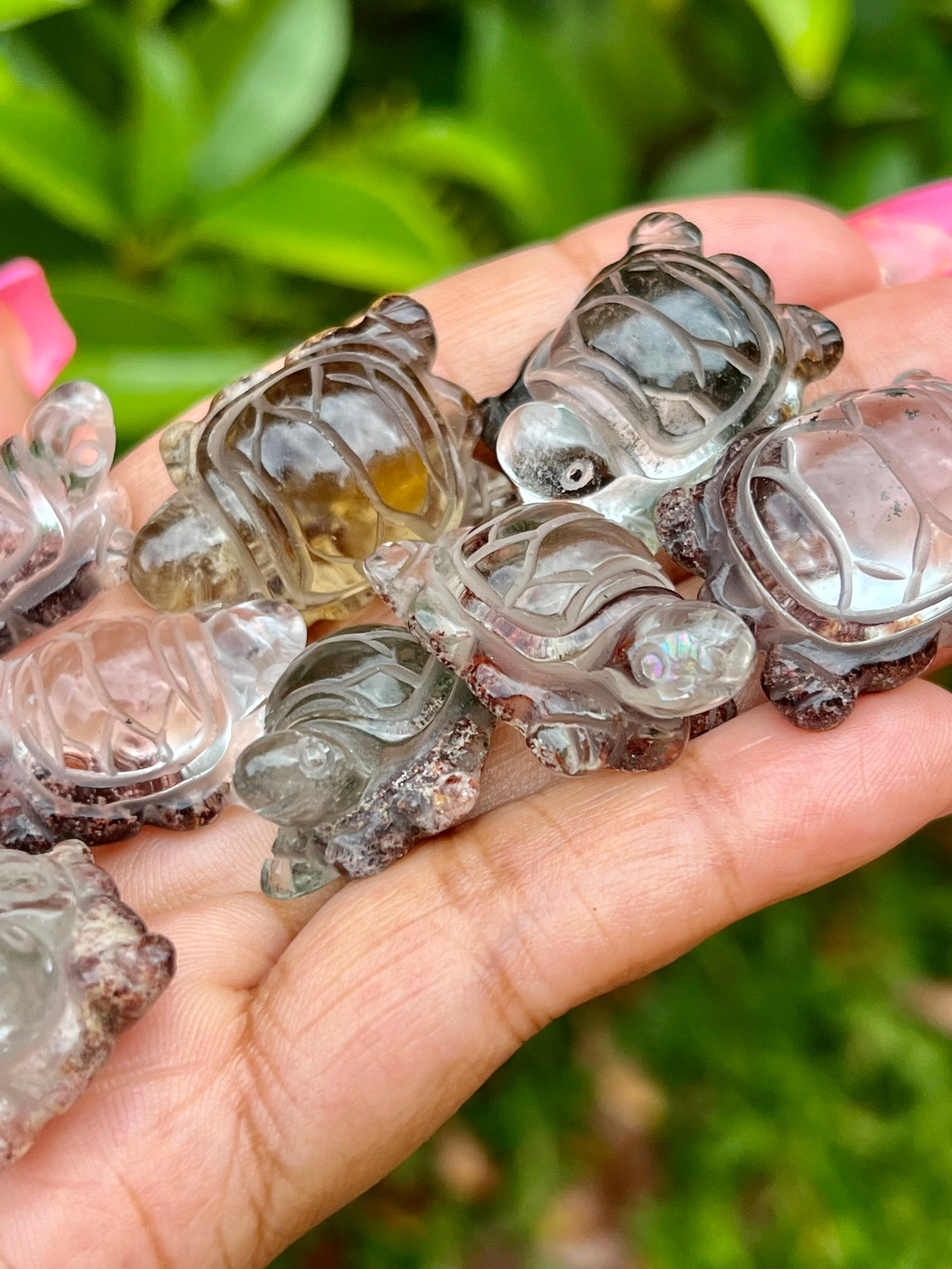 Mini Garden Quartz (Lodolite) Turtles 🐢🌺