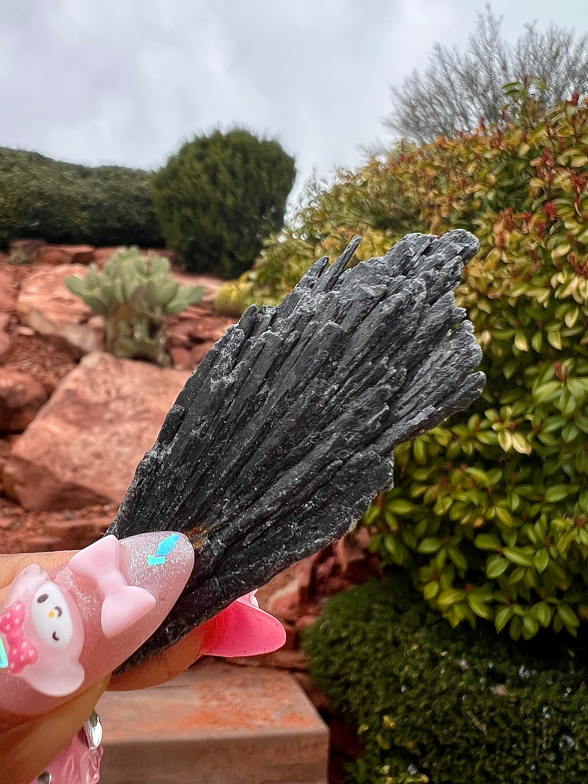 Black Kyanite Fan (Choose Your Fav!)