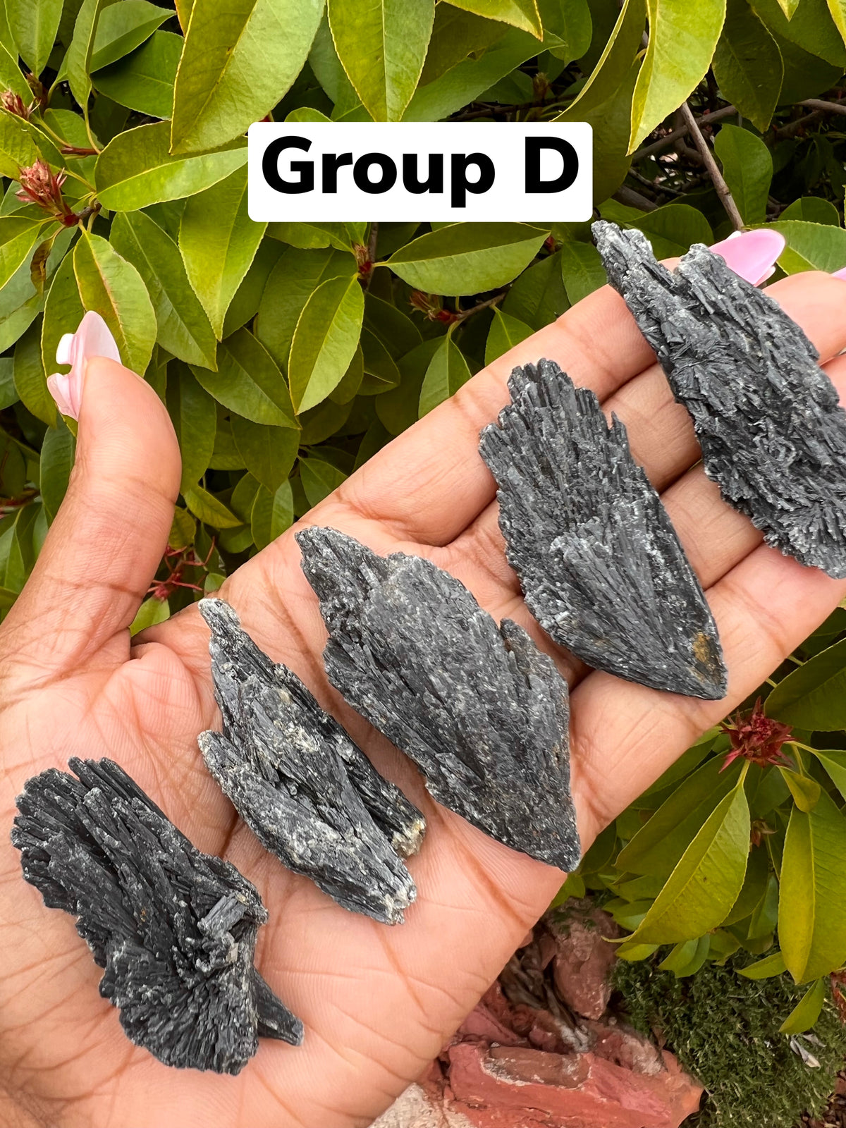 Black Kyanite Fan (Choose Your Fav!)