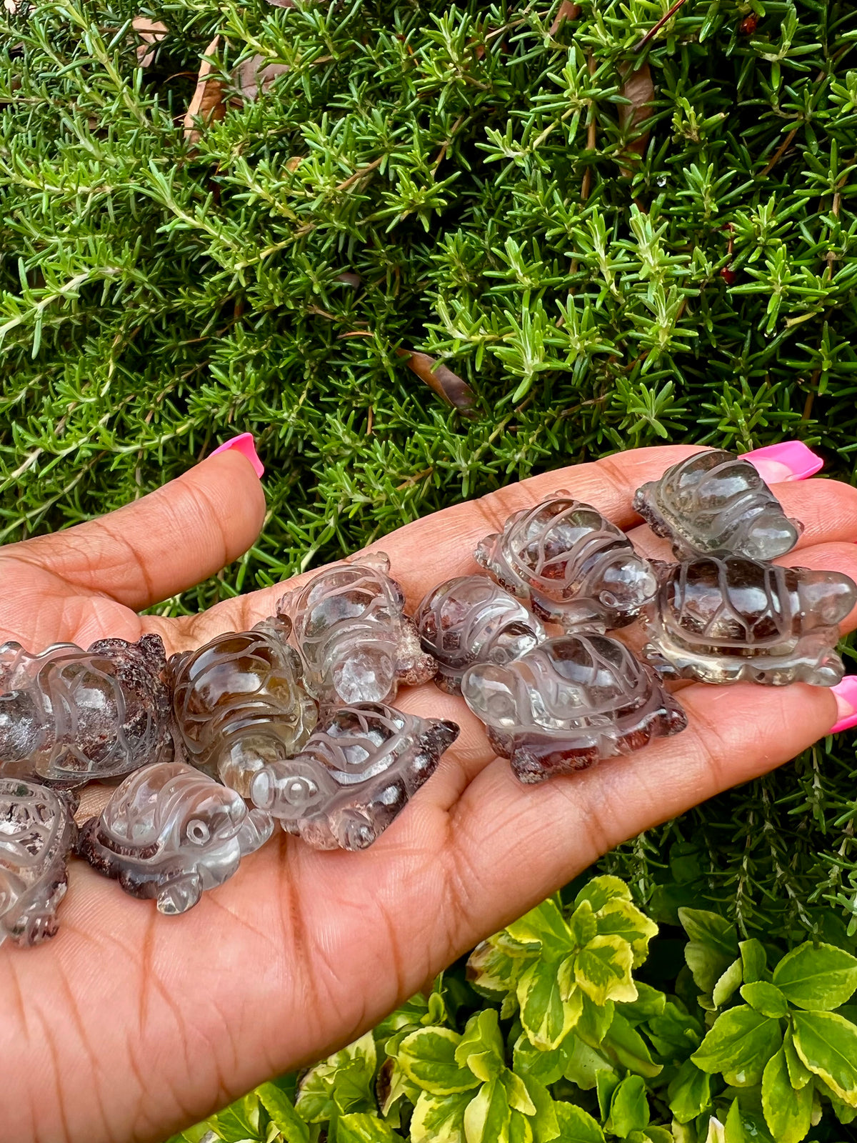 Mini Garden Quartz (Lodolite) Turtles 🐢🌺