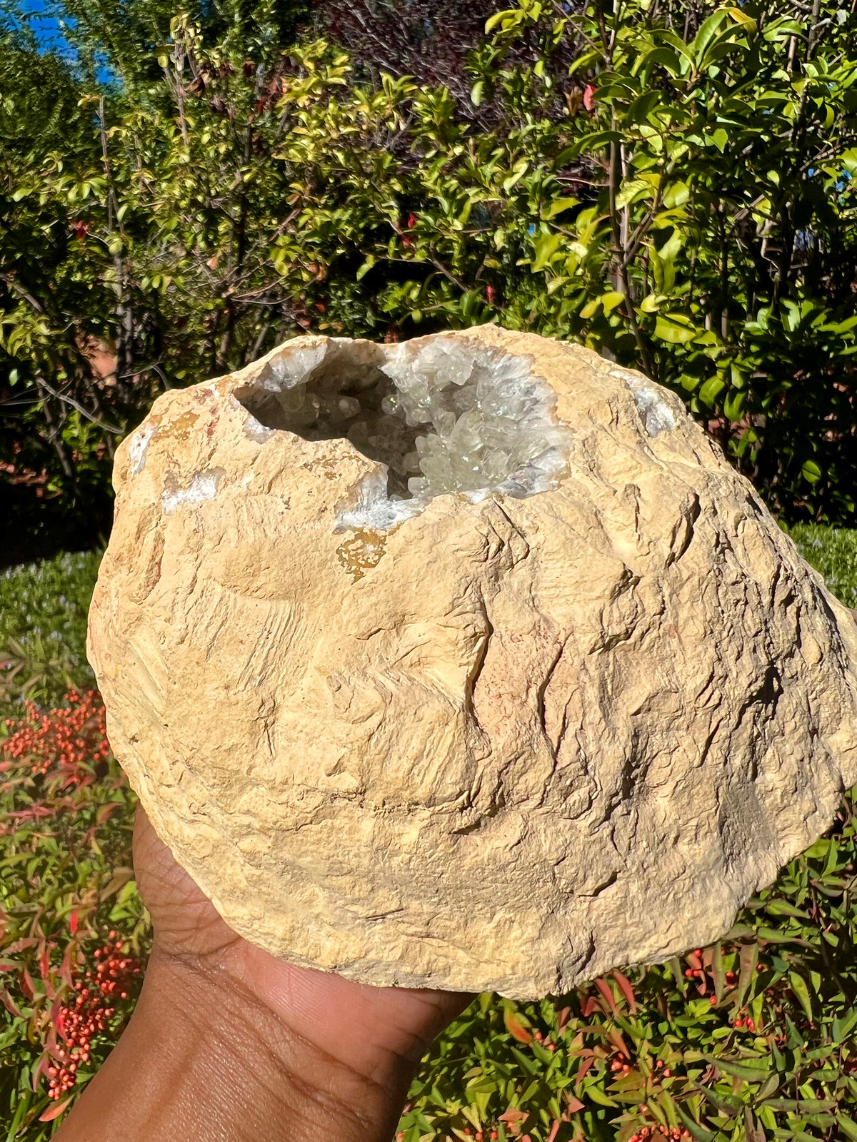 XL Calcite Geode w/ Stand 😍