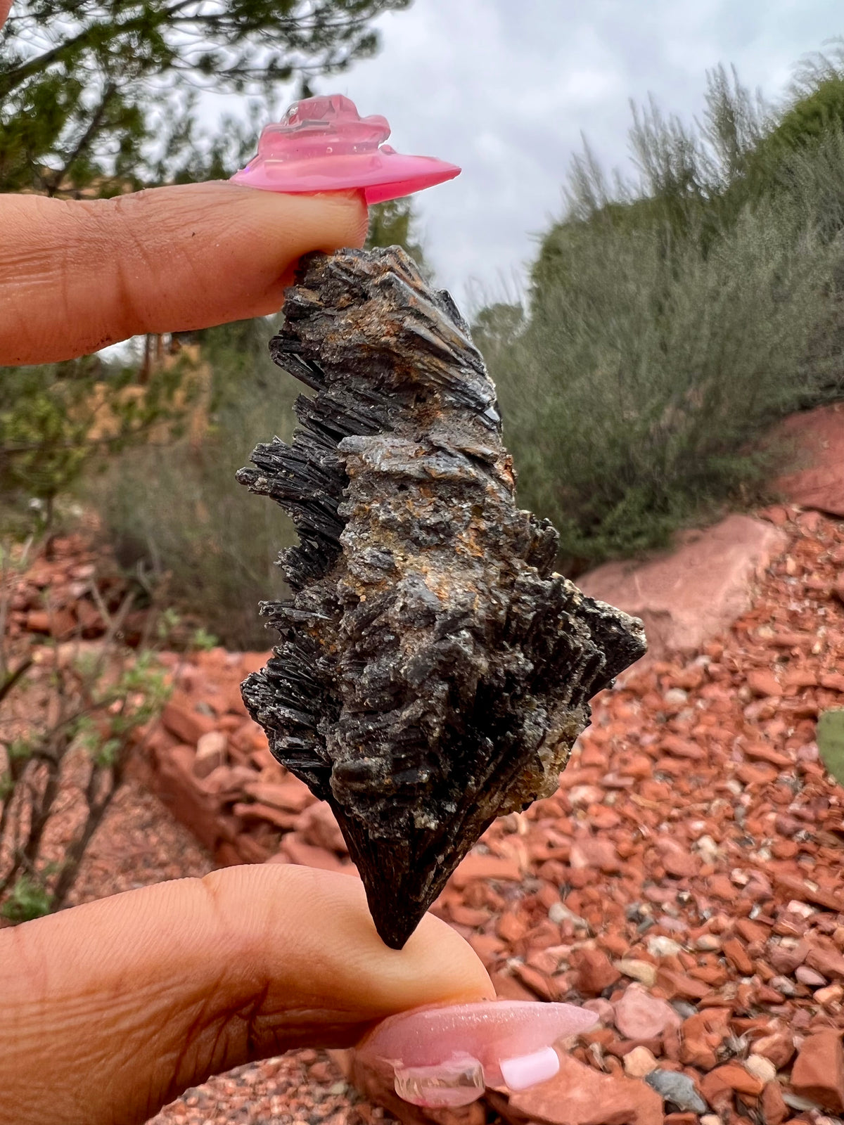 Black Kyanite Fan (Choose Your Fav!)